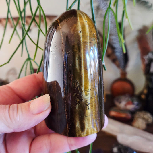 Tiger Eye Freeform
