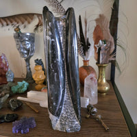 Orthoceras Fossil Tower