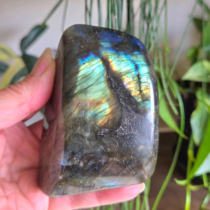 Labradorite Freeform