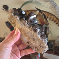Smoky Quartz Cluster
