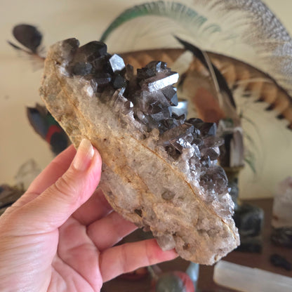 Smoky Quartz Cluster 790gm