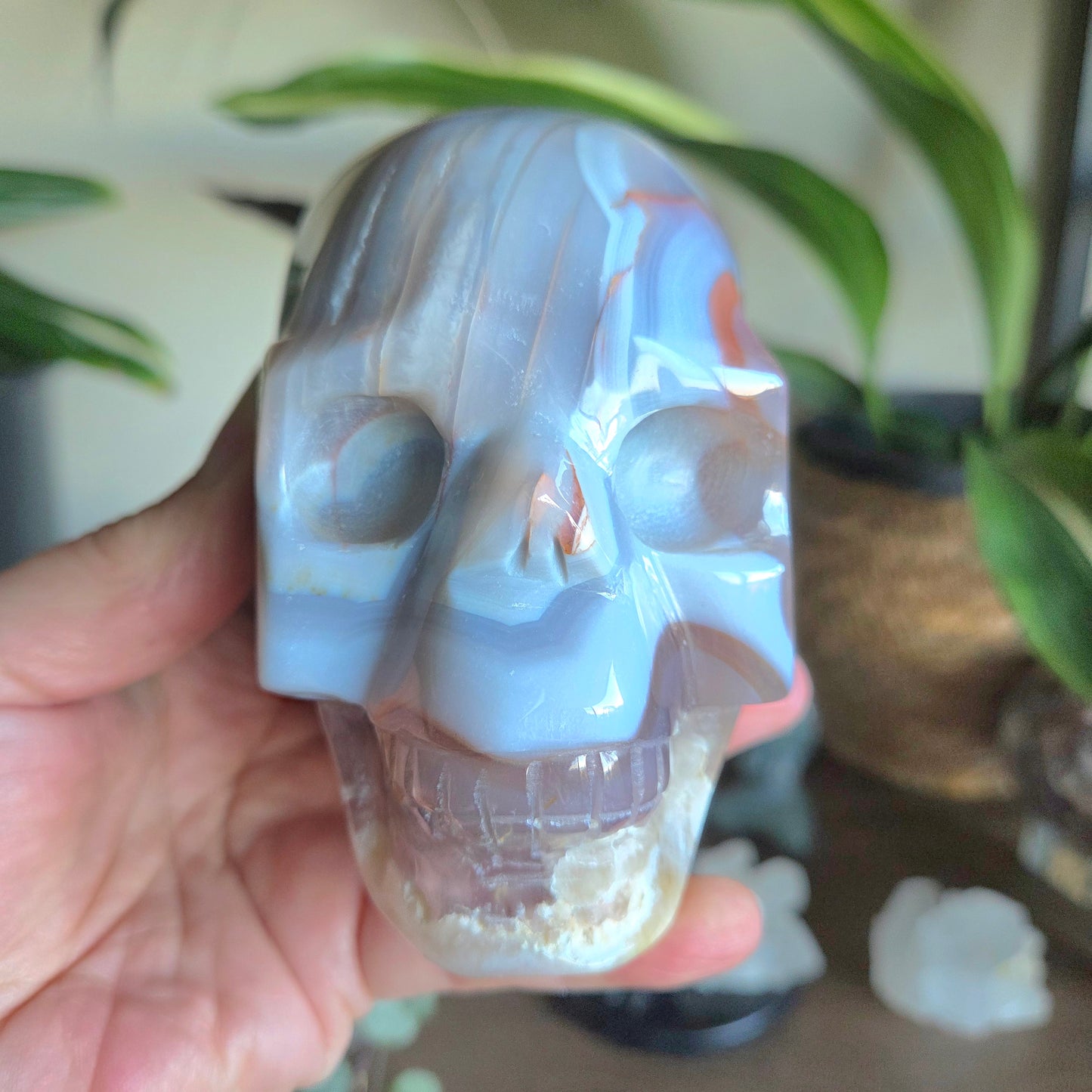 Blue Lace & Flower Agate Skull 1.01Kg