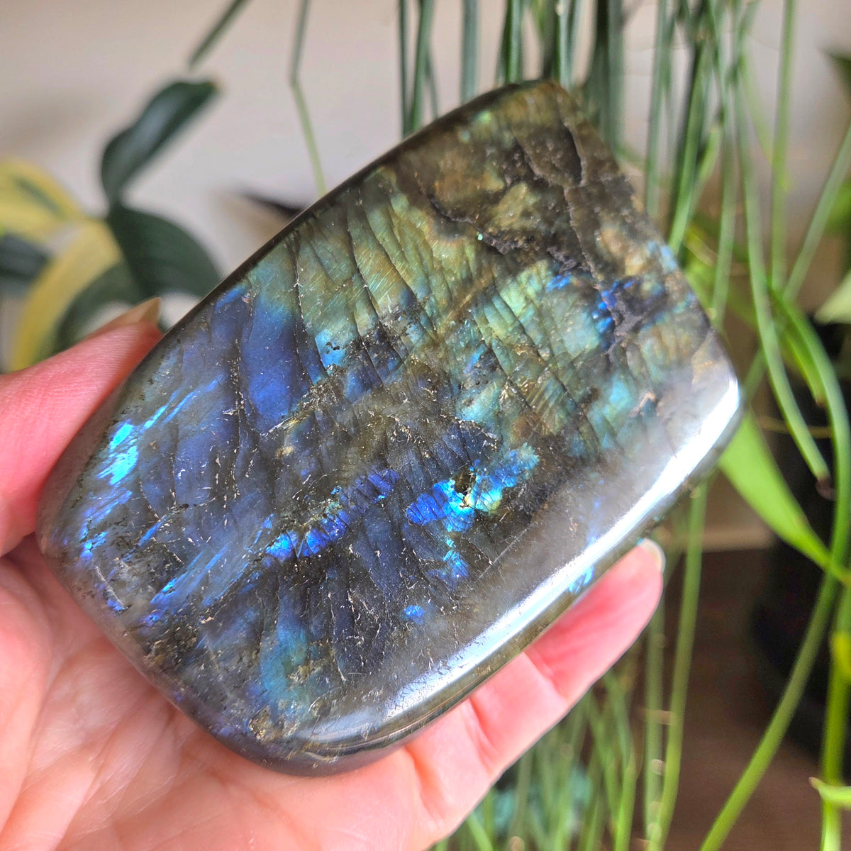 Labradorite Freeform