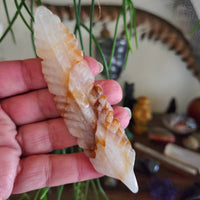 Crystal Feathers