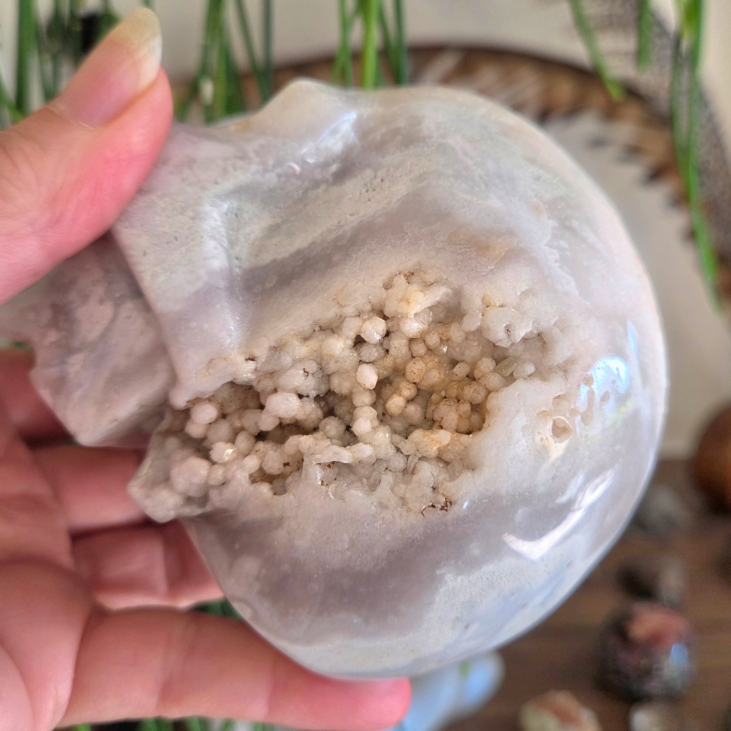 Flower Agate Skull 1Kg