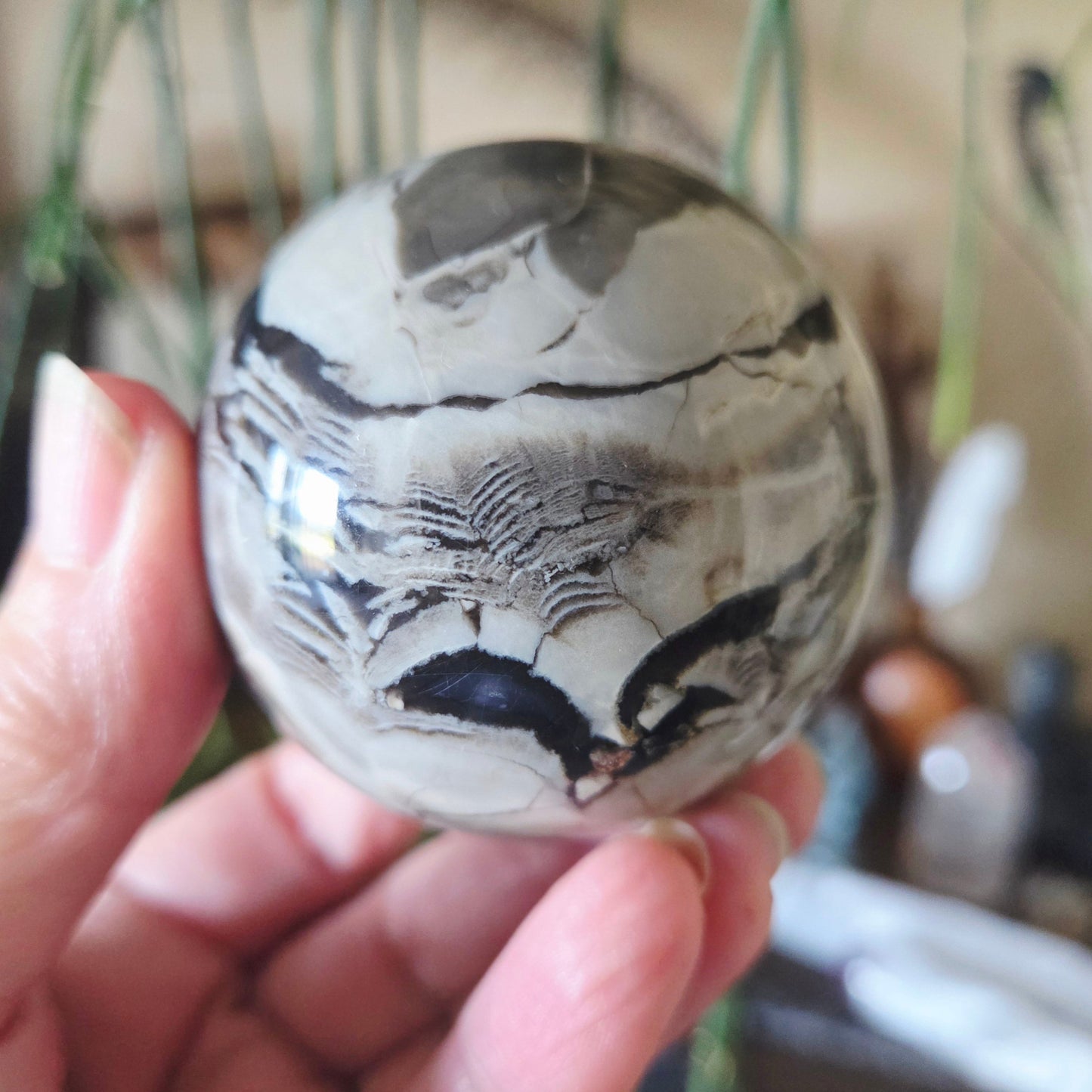 Volcano Agate Sphere 290Gm