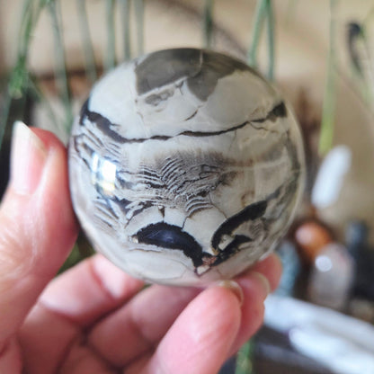 Volcano Agate Sphere 290Gm