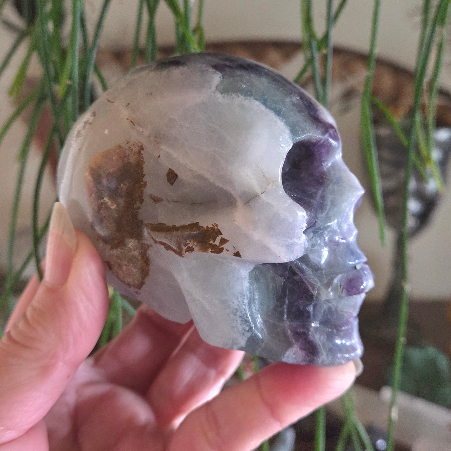 Fluorite Skull 636gm