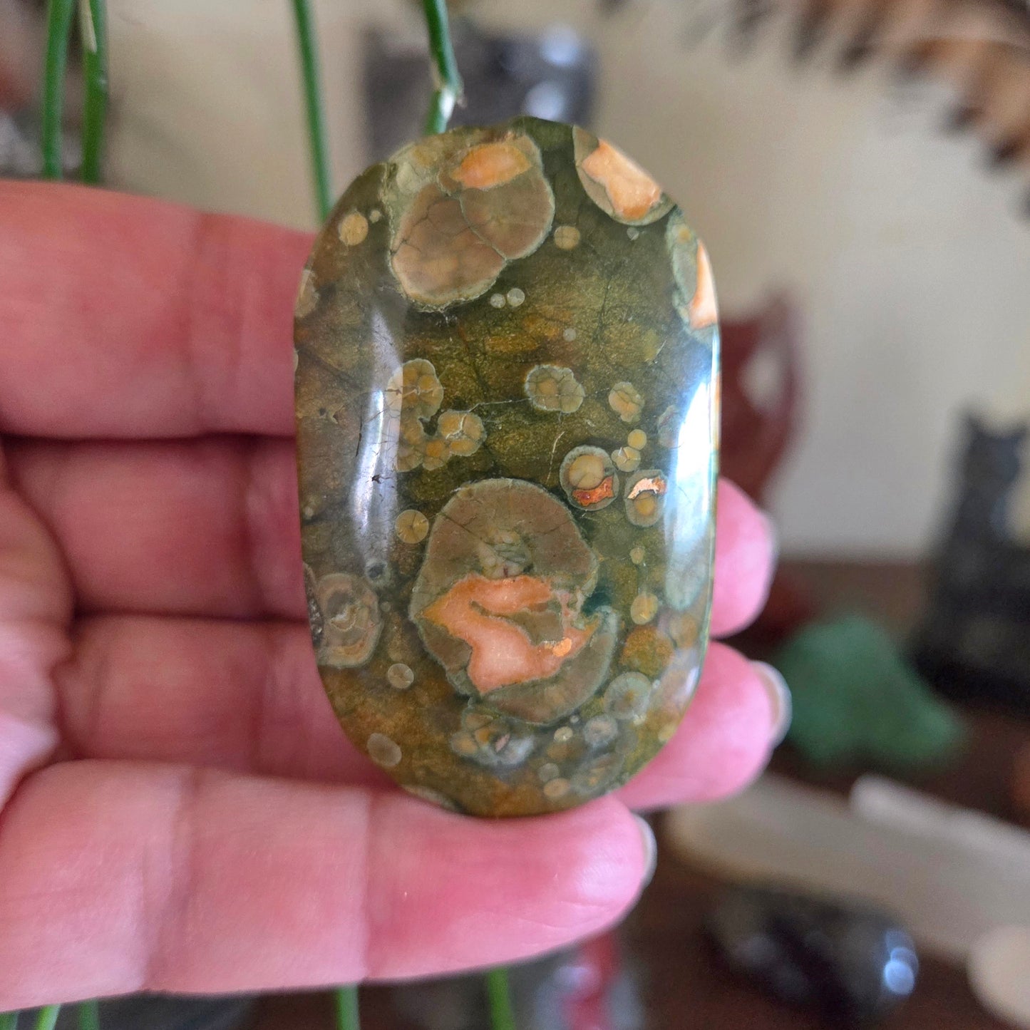Rhyolite Palm Stones