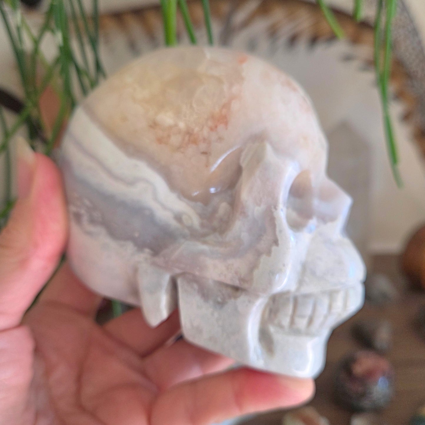 Flower Agate Skull 1Kg