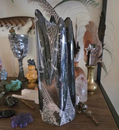 Orthoceras Fossil Tower 2Kg