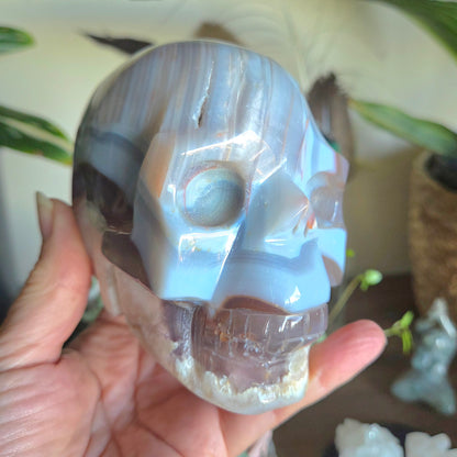 Blue Lace & Flower Agate Skull 1.01Kg