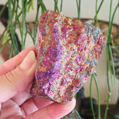 Peacock Ore Freeform - Large
