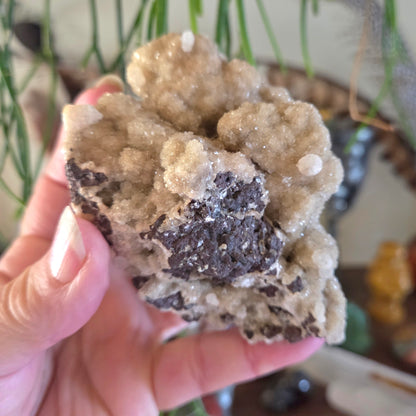 Zeolite Cluster