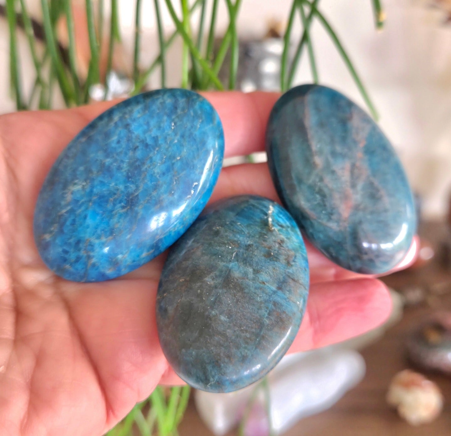Blue Apatite Palm Stone