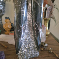 Orthoceras Fossil Tower