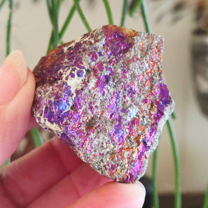 Peacock Ore Freeform - Medium