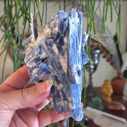 Kyanite In Quartz 697gm