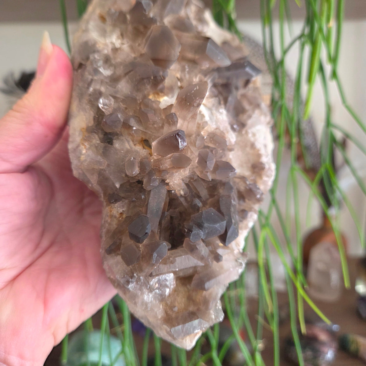 Smoky Quartz Cluster 1.17Kg