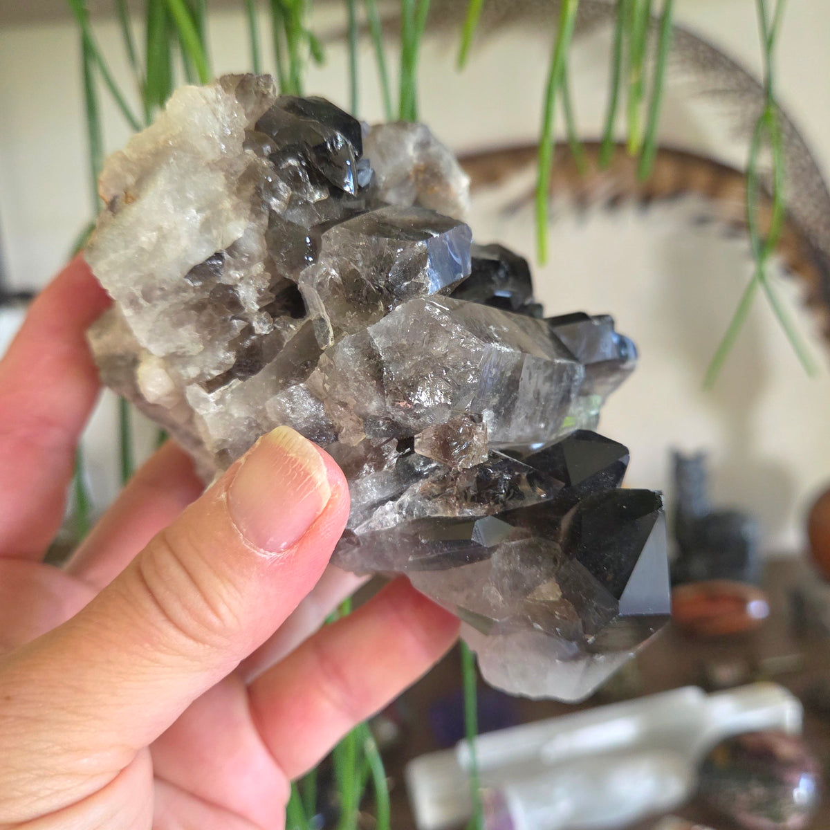 Smoky Quartz Cluster