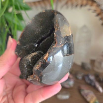 Septarian Egg