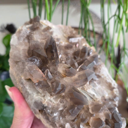 Smoky Quartz Cluster 1.17Kg