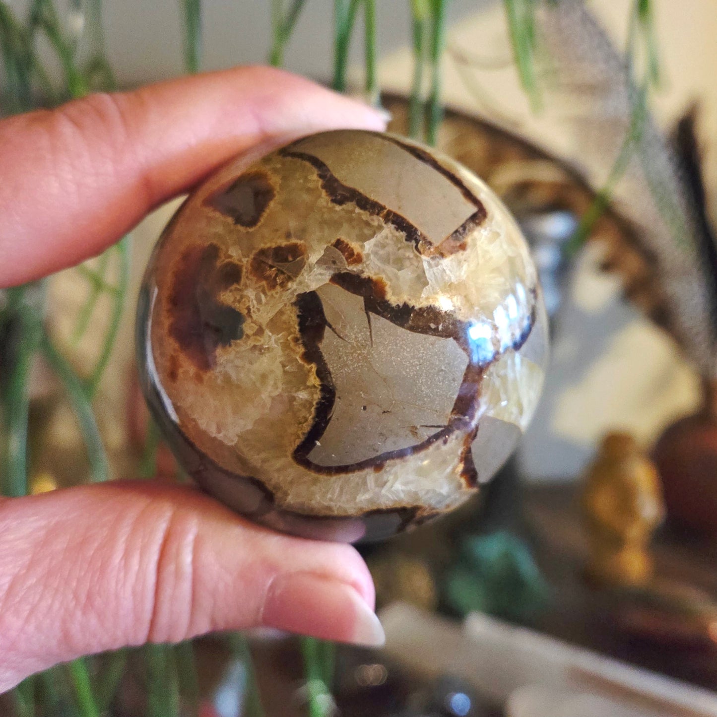 Septarian Sphere