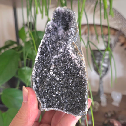 Black Amethyst Cluster Geode
