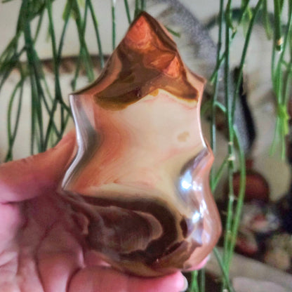Ocean Jasper Flame 720Gm