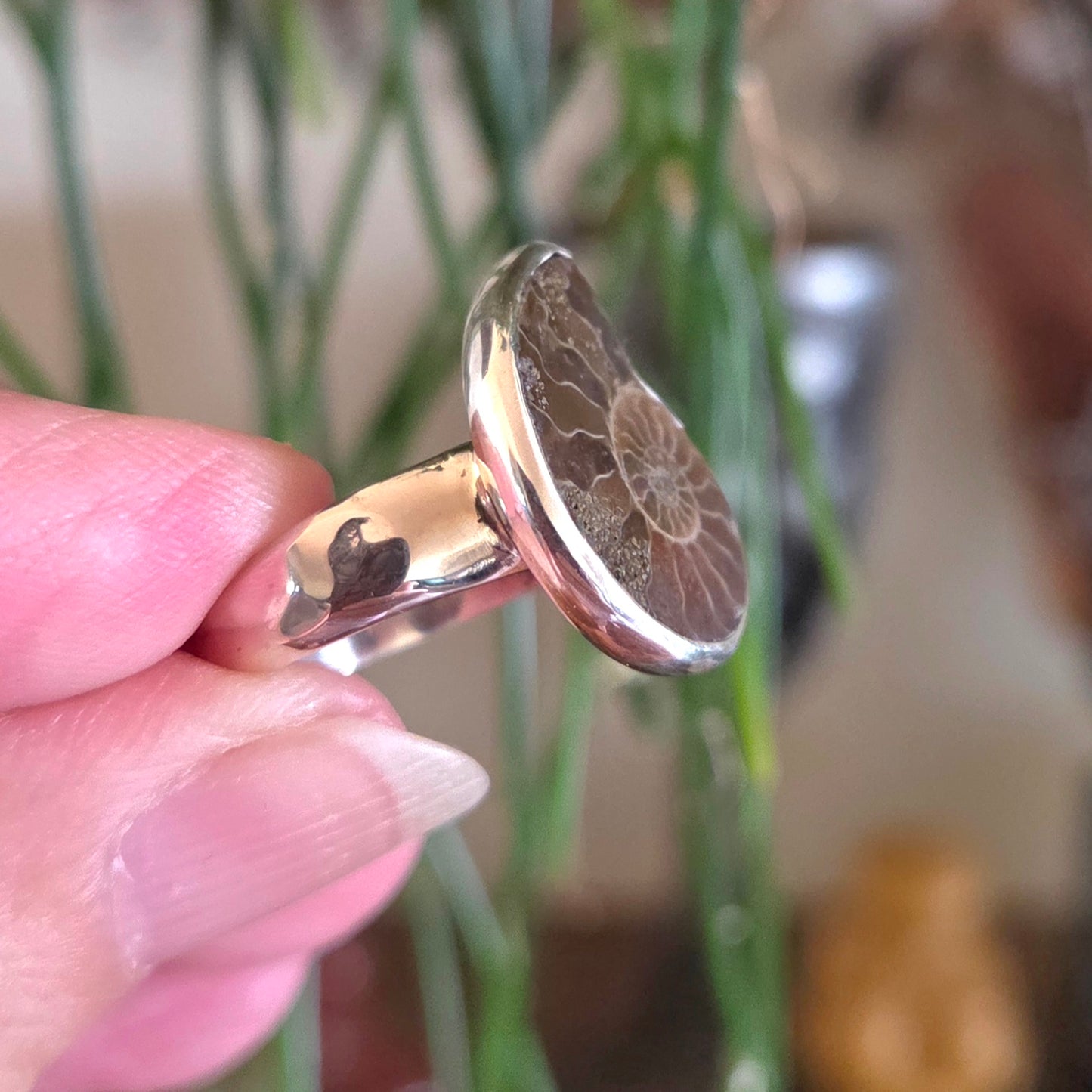 Ammonite Ring Size 8
