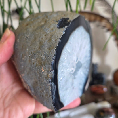 Black Agate Geode 1.12Kg