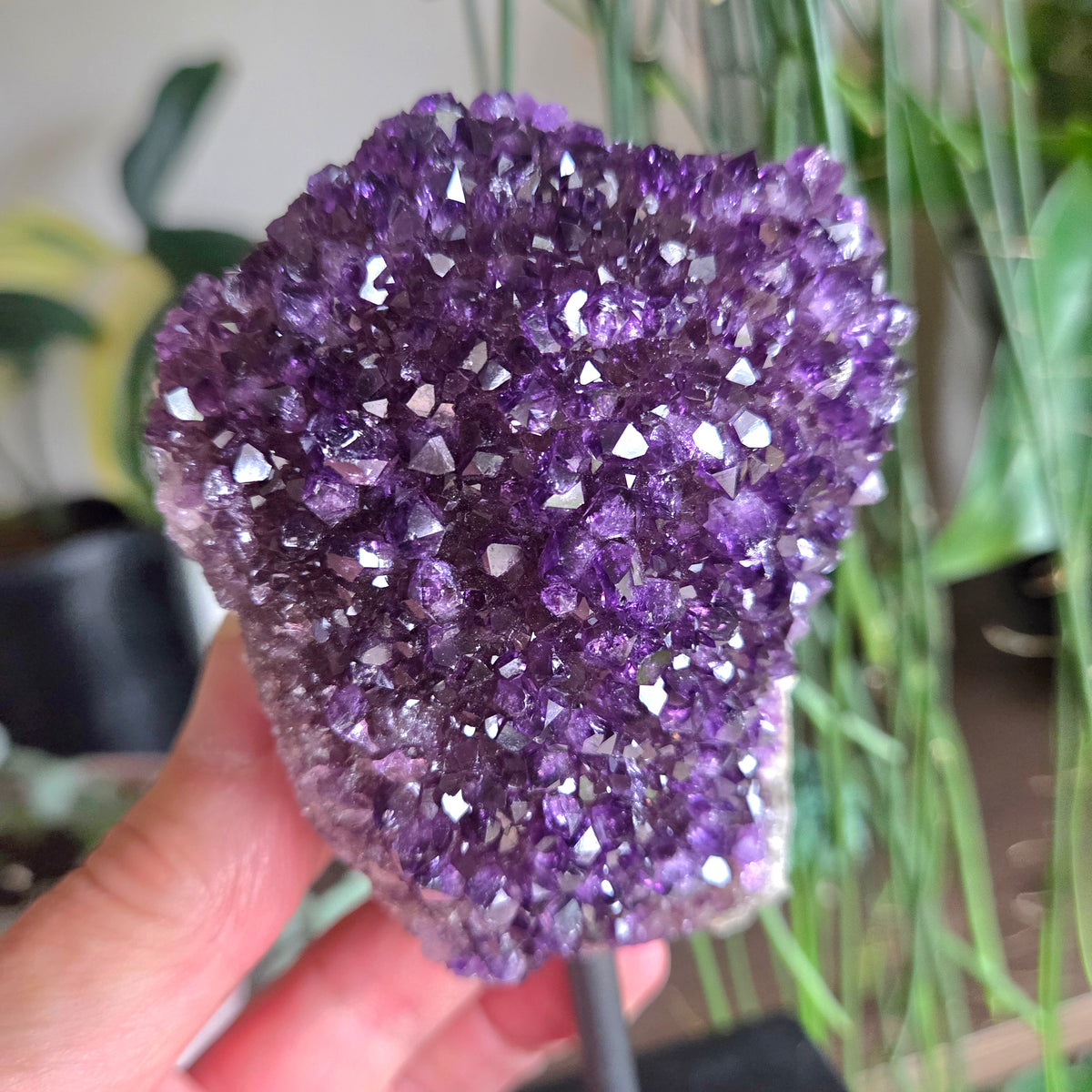 Amethyst Cluster On Metal Stand