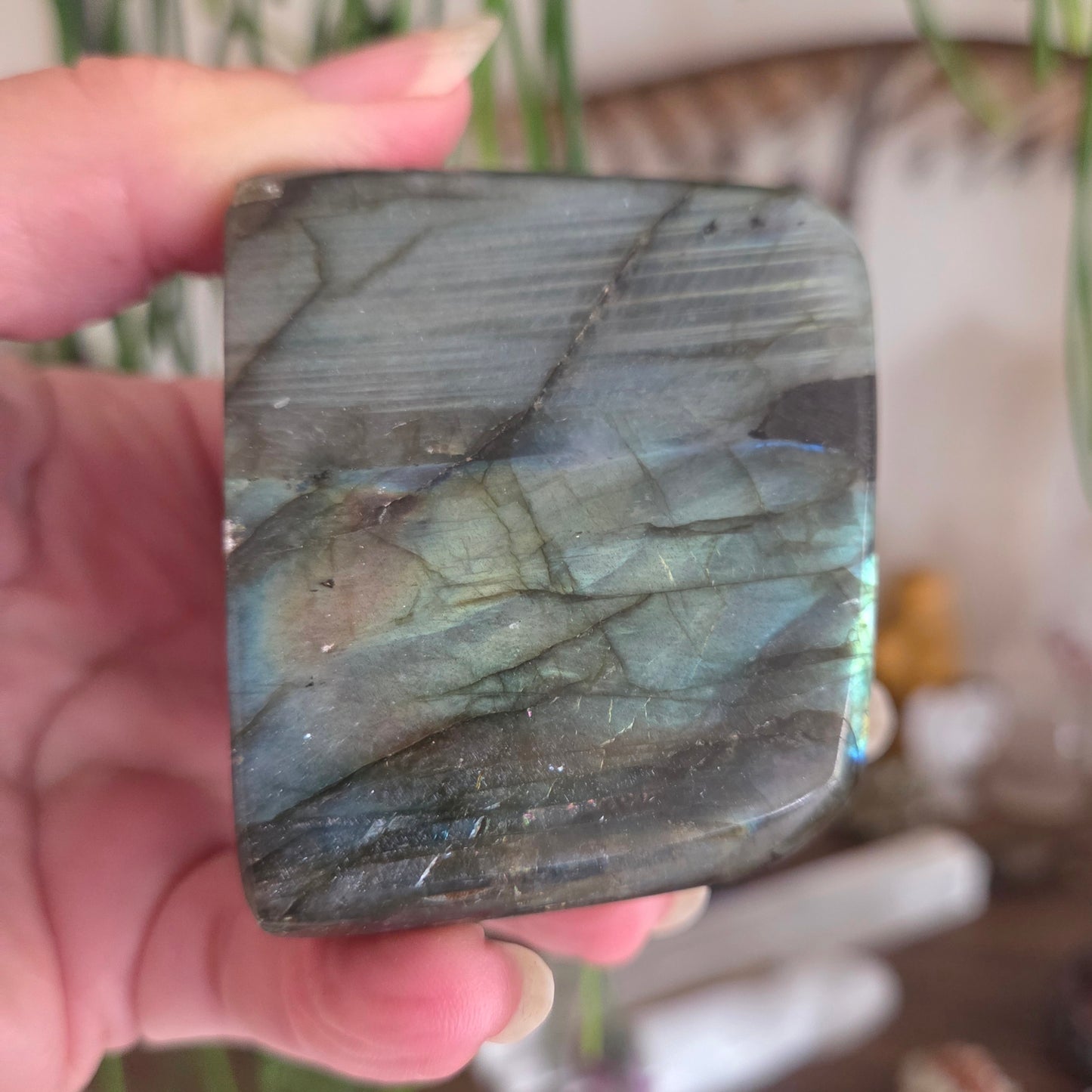 Labradorite Freeform