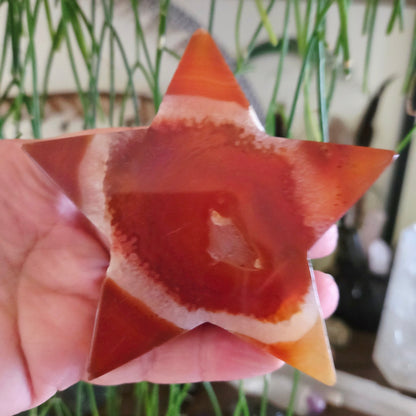 Red Agate Star Slab
