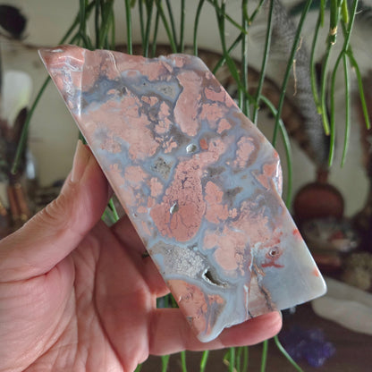 Petal Agate Freeform