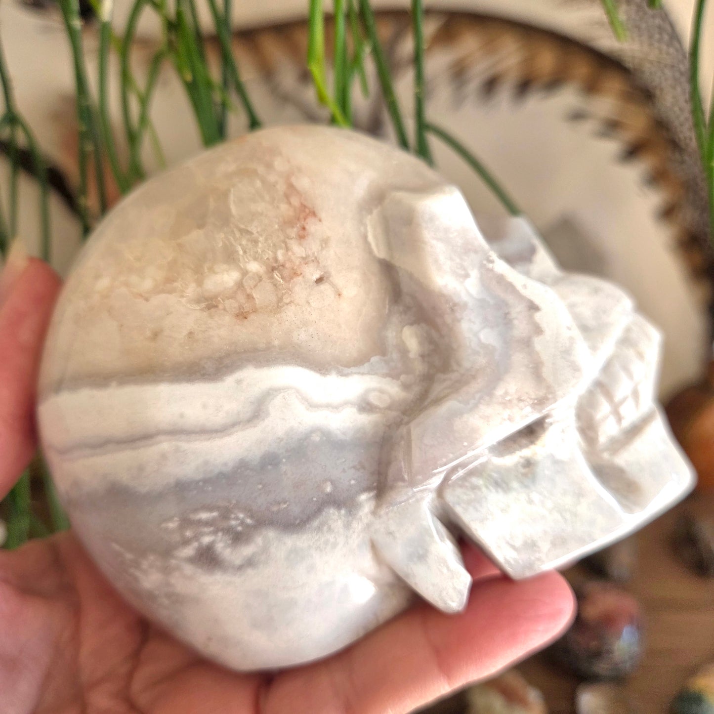 Flower Agate Skull 1Kg