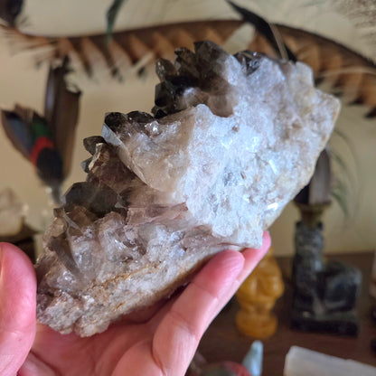 Smoky Quartz Cluster 790gm