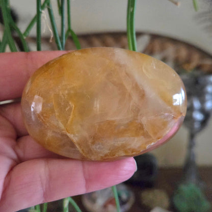 Golden Healer Palm Stone