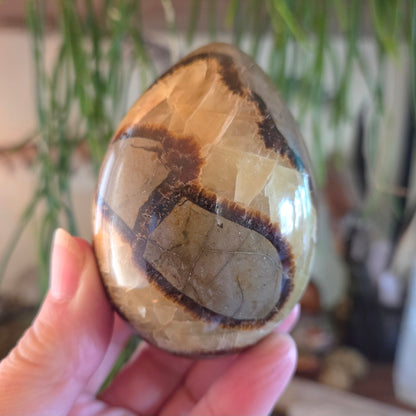 Septarian Egg - Large