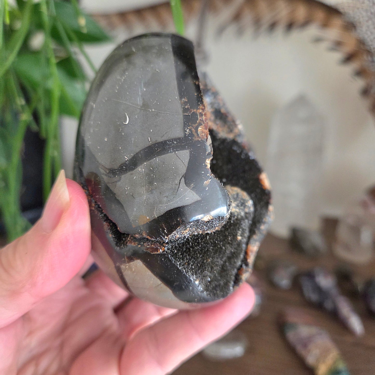 Septarian Egg