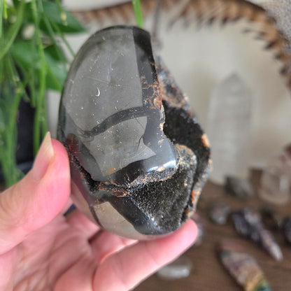 Septarian Egg