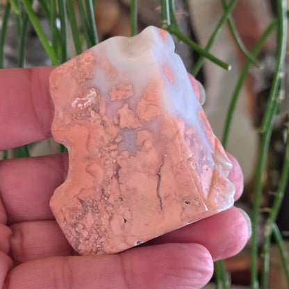 Petal Agate Freeforms
