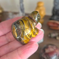 Crystal Turtle