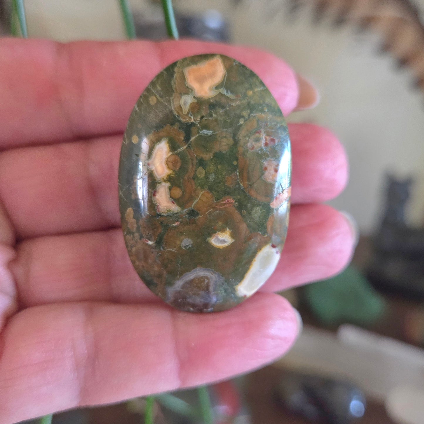 Rhyolite Palm Stones