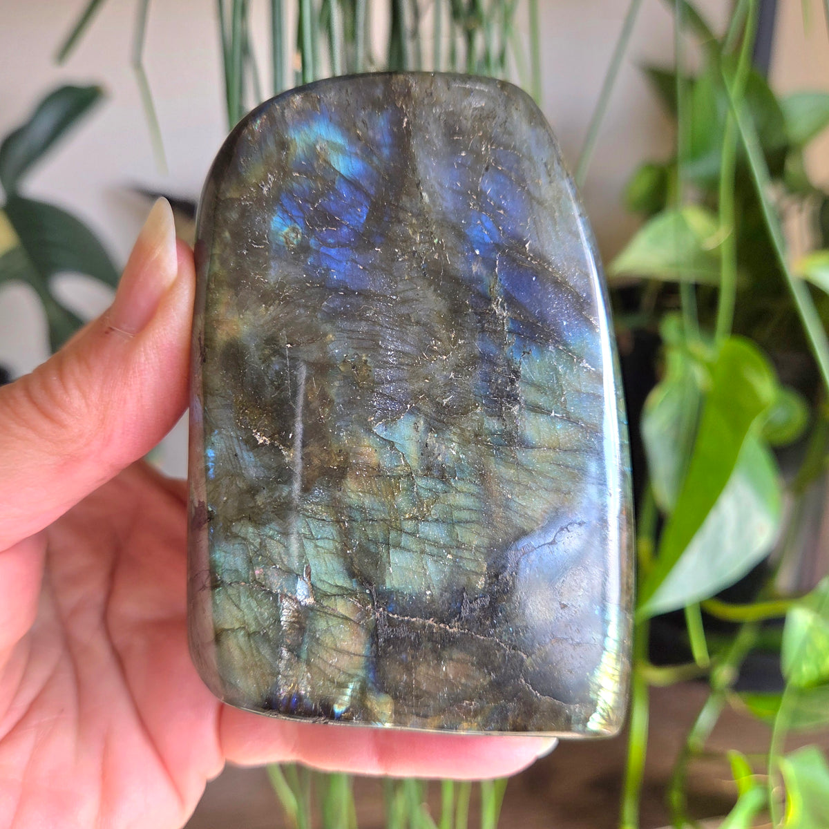 Labradorite Freeform