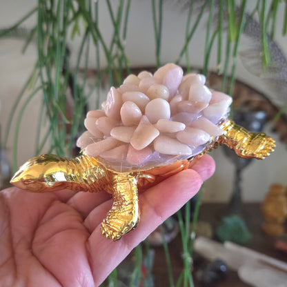 Pink Opal Turtle