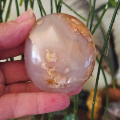 Flower Agate Palm Stone