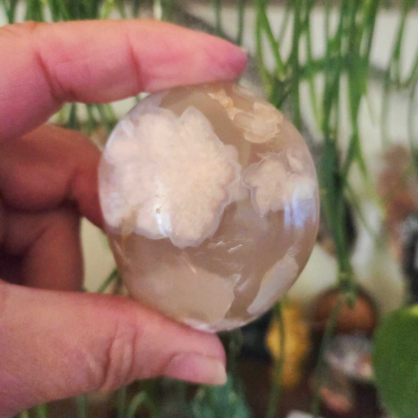 Flower Agate Palm Stone