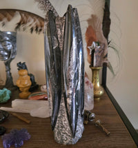 Orthoceras Fossil Tower
