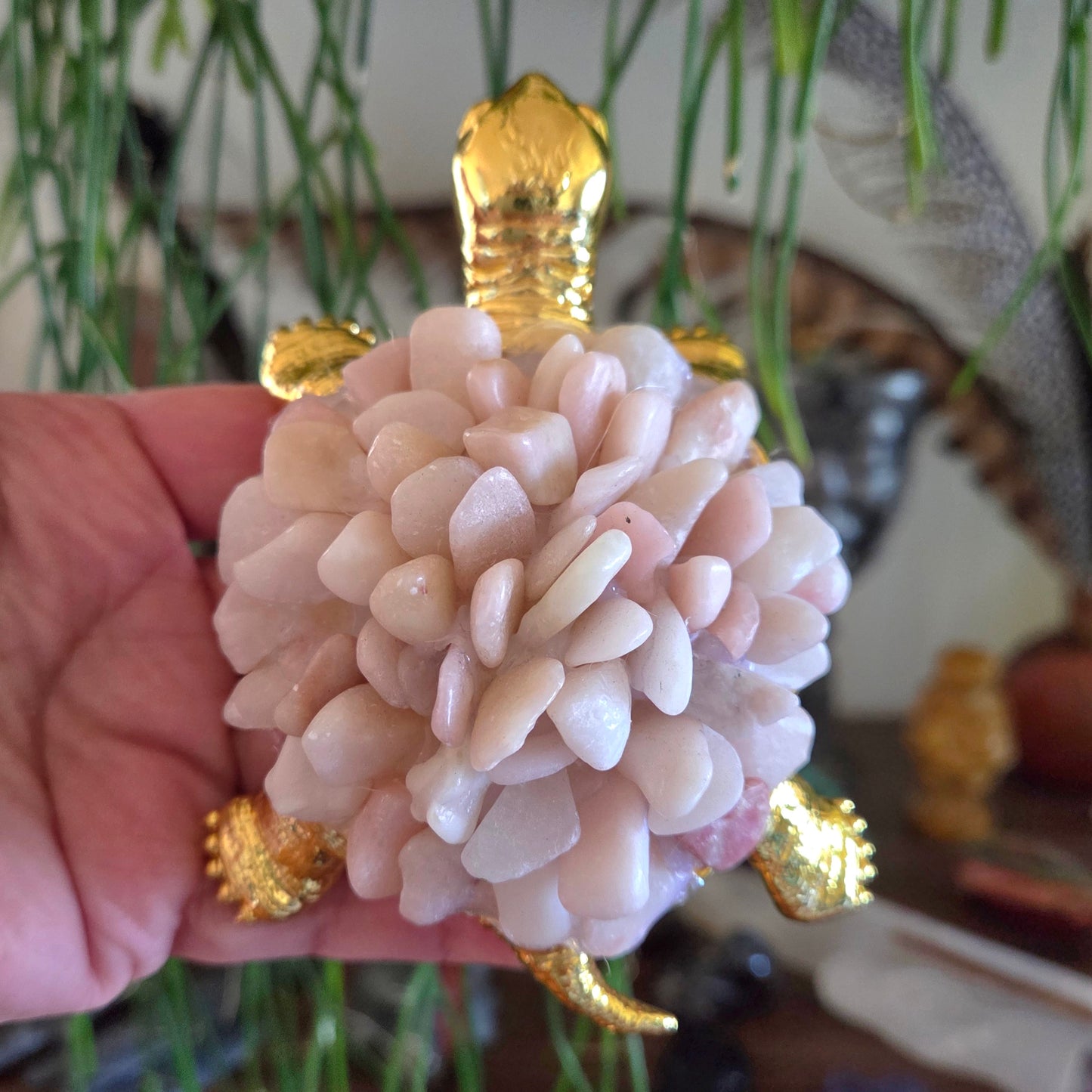 Pink Opal Turtle